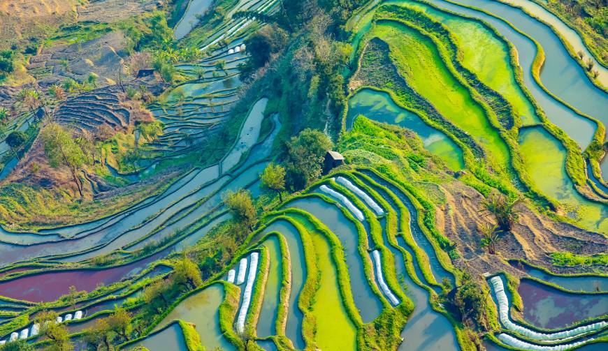 宝妈必备神器：太仆寺旗产品视频拍摄轻松育儿好帮手